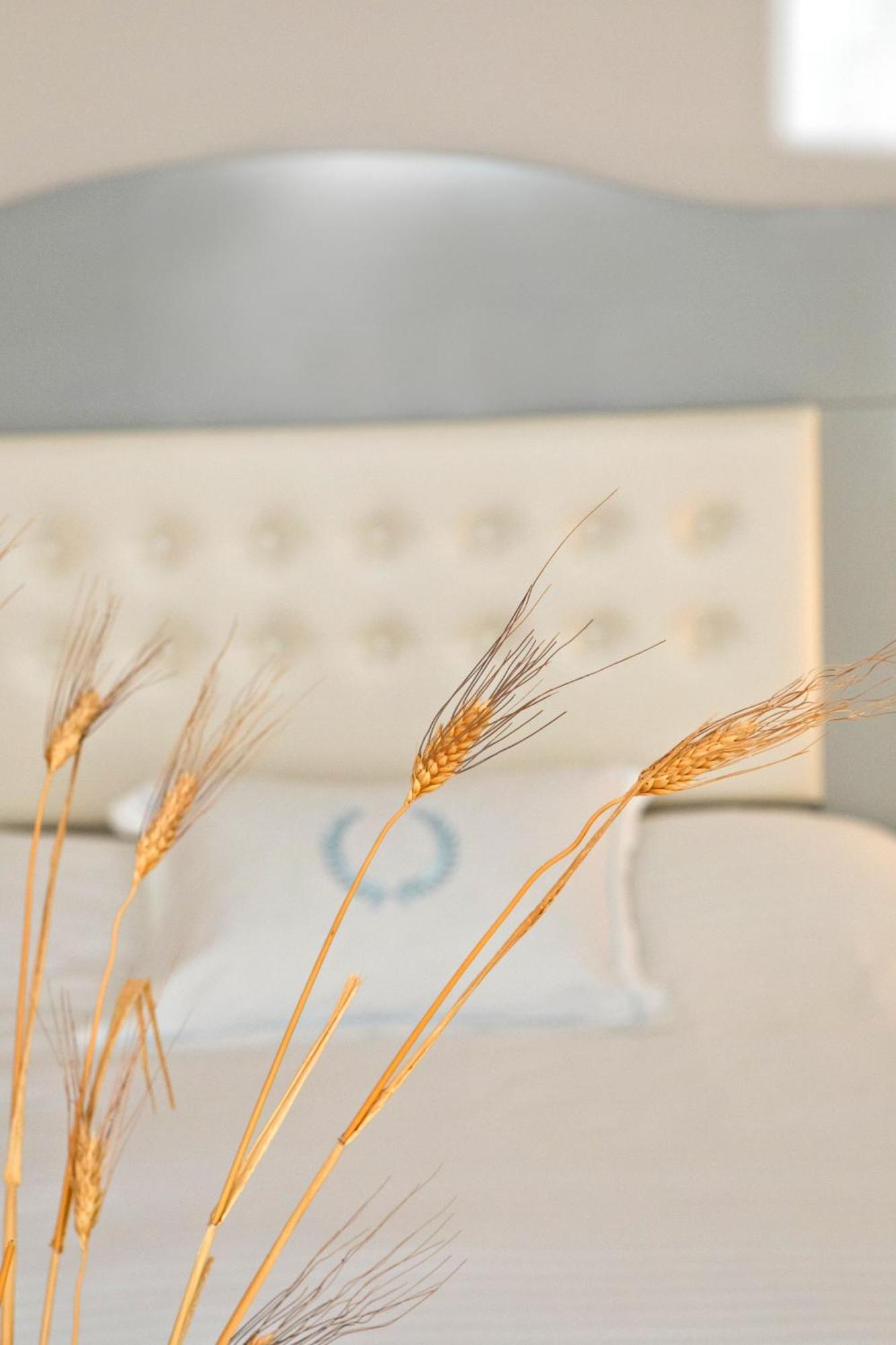Masouriblu Boutique Hotel Ngoại thất bức ảnh